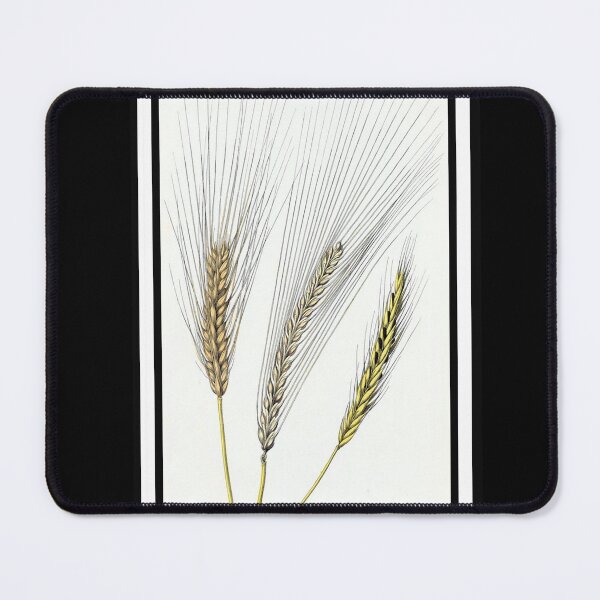 Item preview, Vintage Corn Wheat from the 1800's designed and sold by MountMercantile.