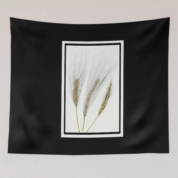 Item preview, Vintage Corn Wheat from the 1800's designed and sold by MountMercantile.