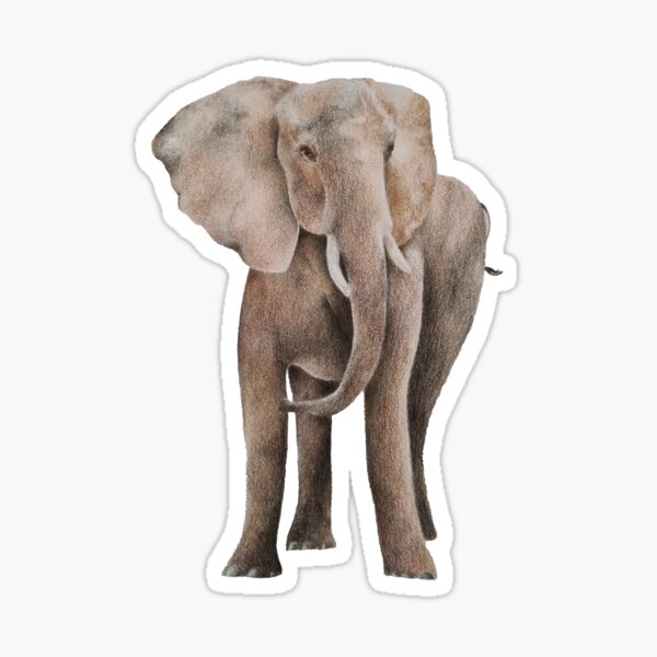 Elephant art Sticker