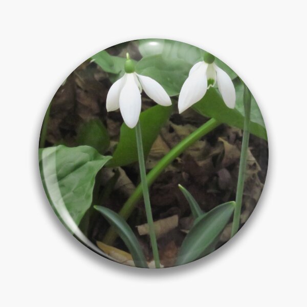 Item preview, Two Snowdrops designed and sold by wiggyofipswich.