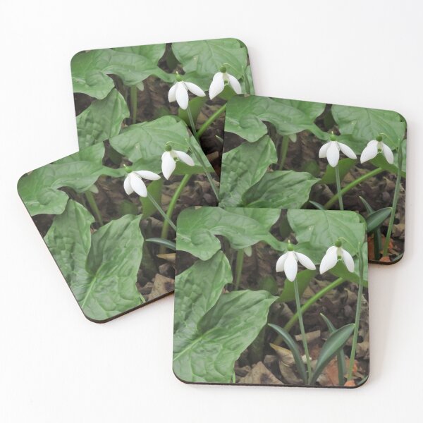 Item preview, Two Snowdrops designed and sold by wiggyofipswich.