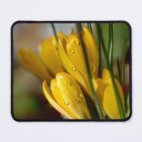 Item preview, Crocus Raindrops  designed and sold by Alisonchambers2.