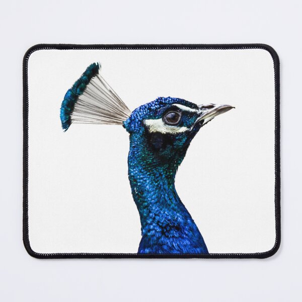Item preview, Convinced designed and sold by DiFigianoPhoto.
