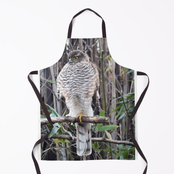Item preview, sparrow hawk waiting designed and sold by gruntpig.