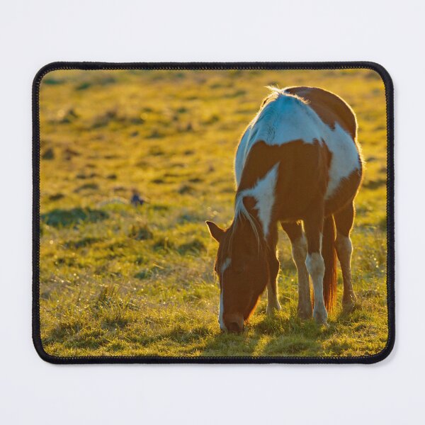 Item preview, Backlit Horse designed and sold by Dalyndigital Photography.