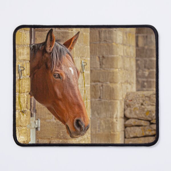 Item preview, Just looking out of the stable designed and sold by Dalyndigital Photography.