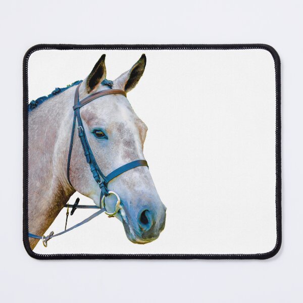 Item preview, Beautiful Show Jumper designed and sold by Dalyndigital Photography.