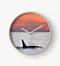 Reloj Orca Sunset
