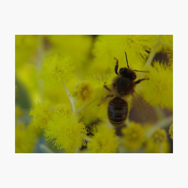 Item preview, busy bee 2 designed and sold by Linda Hitch.