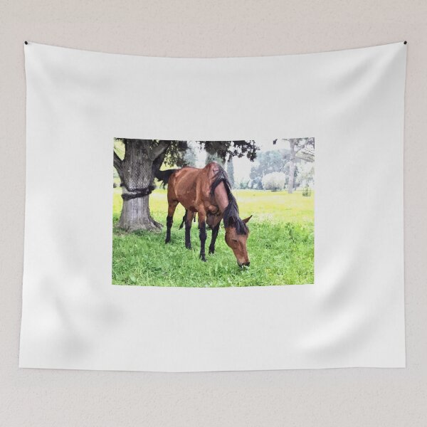 Item preview, Horse grazing designed and sold by Giuseppe Cocco.