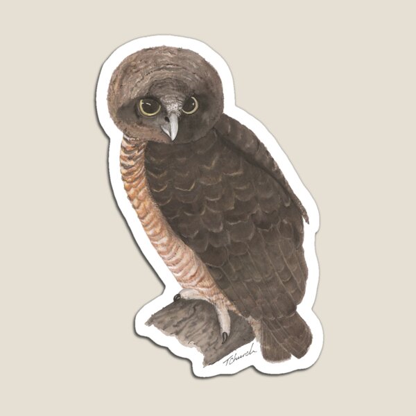 Item preview, Rufous Owl designed and sold by TLC-Art.