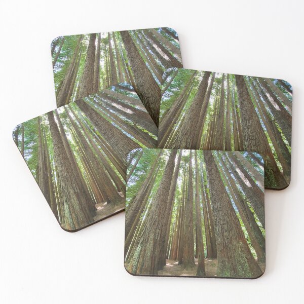 Item preview, Magnificent redwood forest designed and sold by Annaren2022.