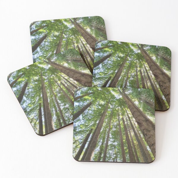 Item preview, Redwood forest designed and sold by Annaren2022.