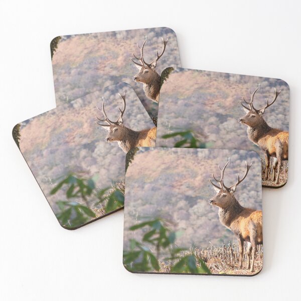 Item preview, Monarch of the Glen designed and sold by Graz-Photos.