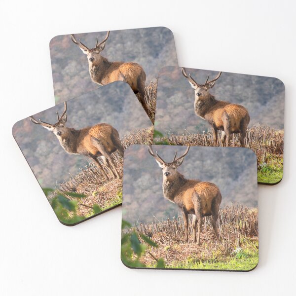 Item preview, Red Deer Stag designed and sold by Graz-Photos.