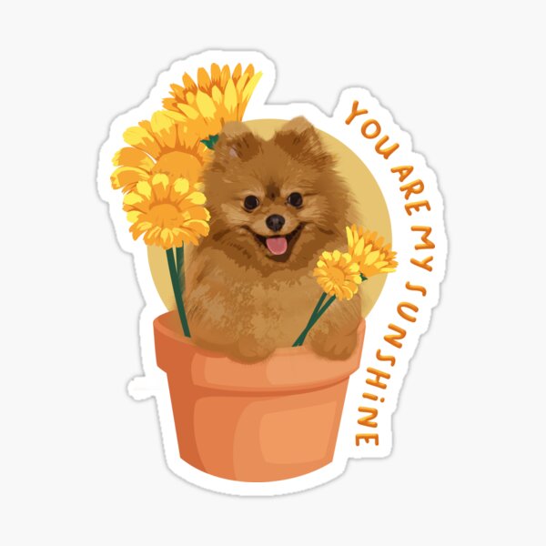 "You Are My Sunshine Dog Sunflower" Sticker for Sale by hcdesignlab