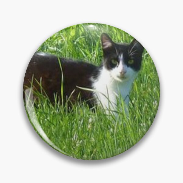 Item preview, Cat in green grass designed and sold by Saiamrita123.