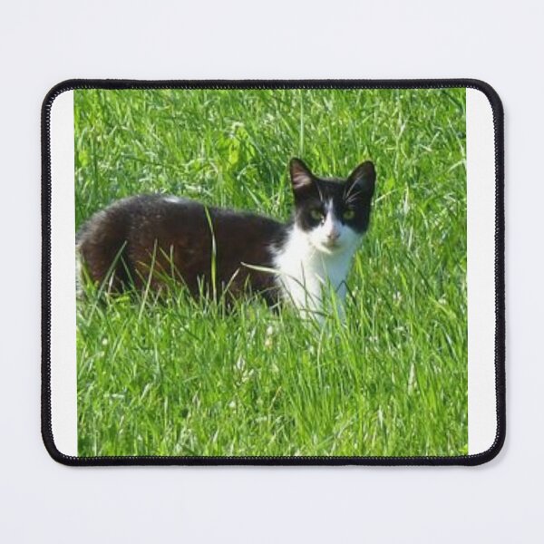 Item preview, Cat in green grass designed and sold by Saiamrita123.