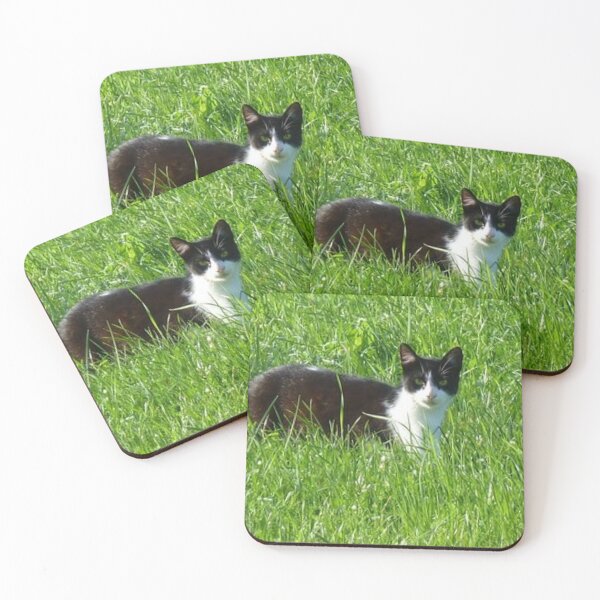 Item preview, Cat in green grass designed and sold by Saiamrita123.