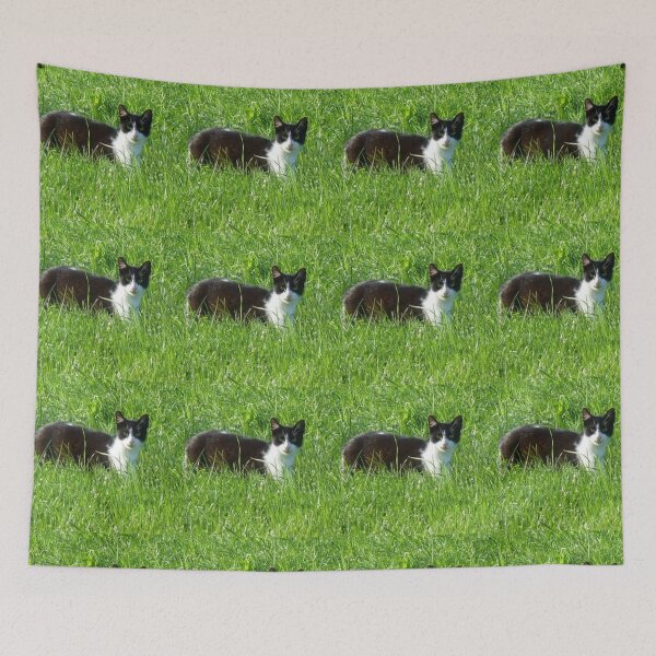 Item preview, Cat in green grass designed and sold by Saiamrita123.