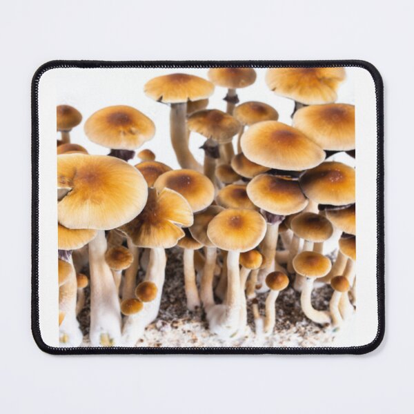 Item preview, Mashroom designed and sold by Saiamrita123.