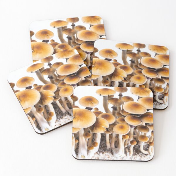 Item preview, Mashroom designed and sold by Saiamrita123.