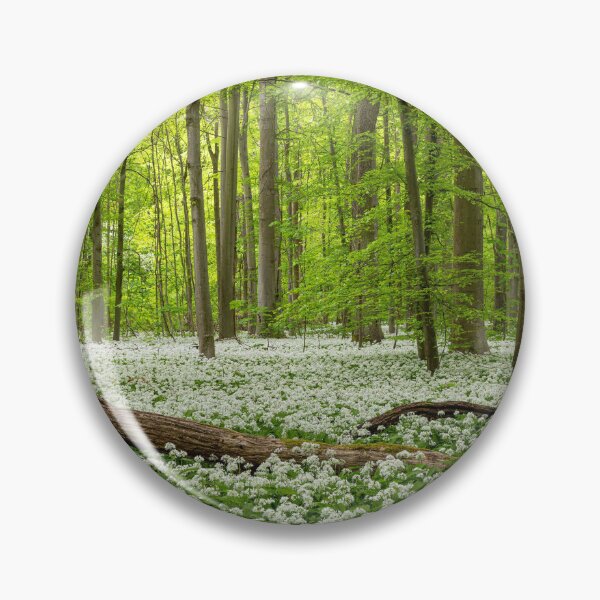 Item preview, Wild garlic forest in spring designed and sold by thomas-herzog.