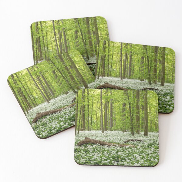 Item preview, Wild garlic forest in spring designed and sold by thomas-herzog.