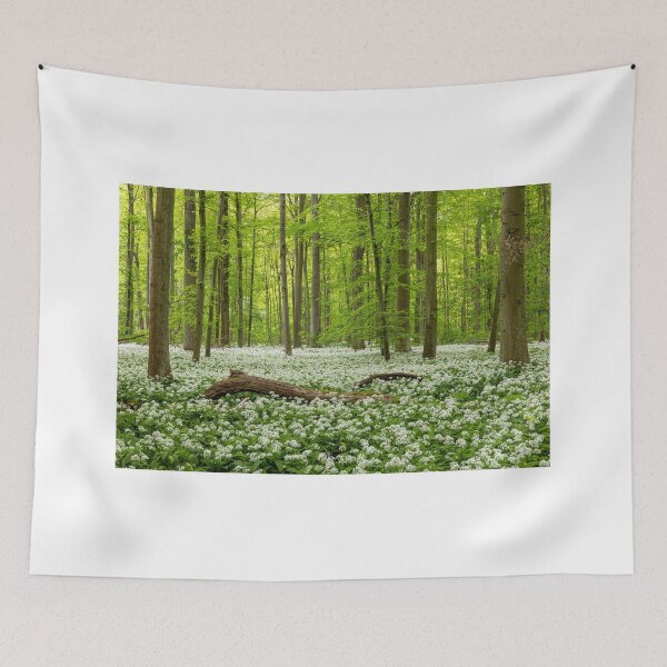 Item preview, Wild garlic forest in spring designed and sold by thomas-herzog.