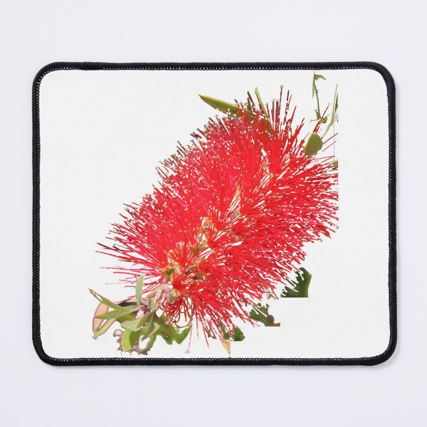 Item preview, Bottlebrush designed and sold by STHogan.