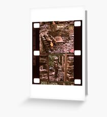 Aftermath Greeting Card