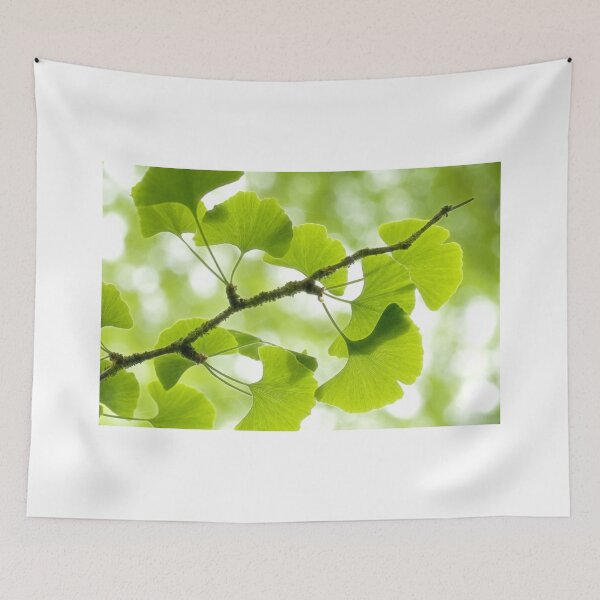 Item preview, G I N K G O . L E A V E S designed and sold by thomas-herzog.