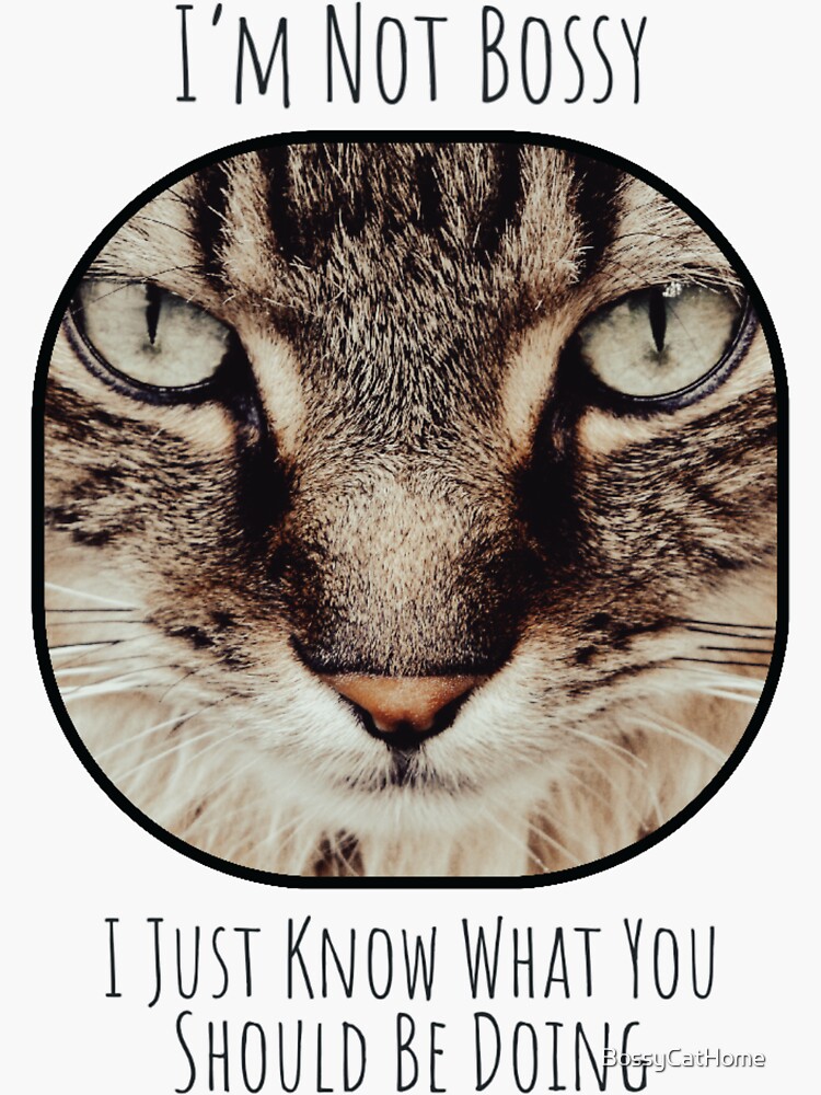 Not Bossy Cat Decal