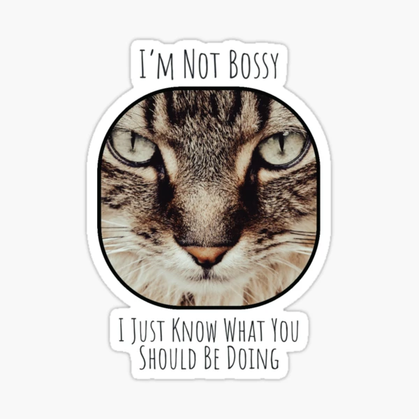Not Bossy Cat Decal