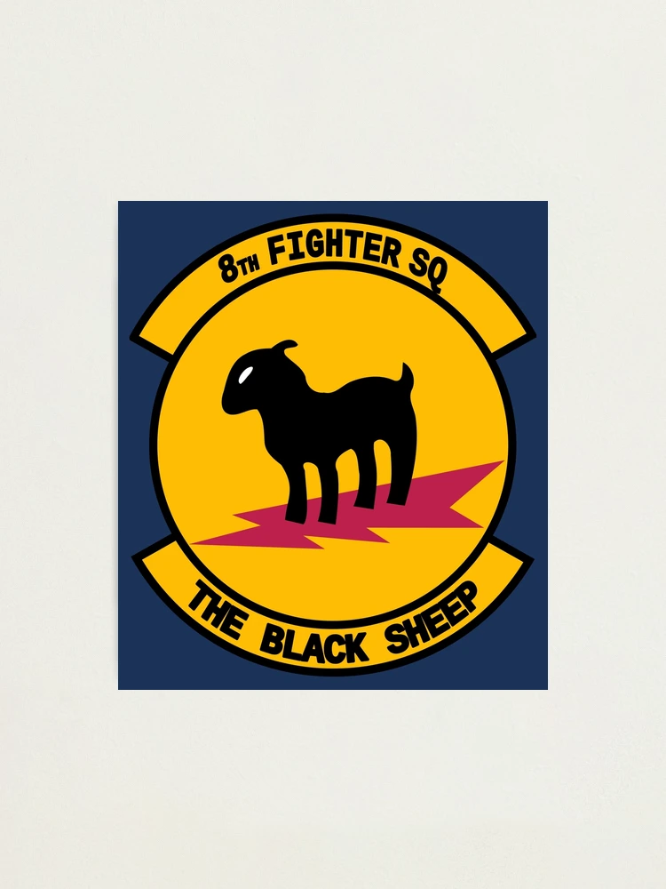 8th Fighter Squadron 