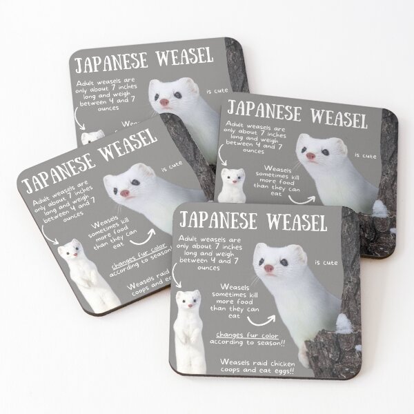 Item preview, Japanese Weasel Fun Facts designed and sold by KyleNesas.
