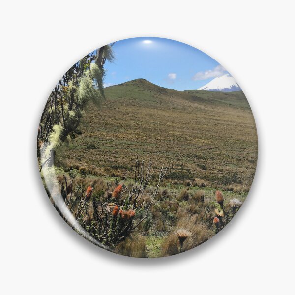 Artikelvorschau, Ökoreservat in Ecuador entworfen und verkauft von GatheringMoss.
