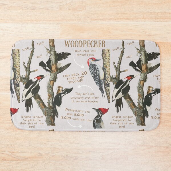Item preview, Woodpecker Fun Fact designed and sold by KyleNesas.