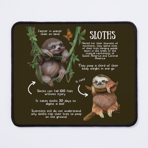 Item preview, Sloth Fun Fact designed and sold by KyleNesas.