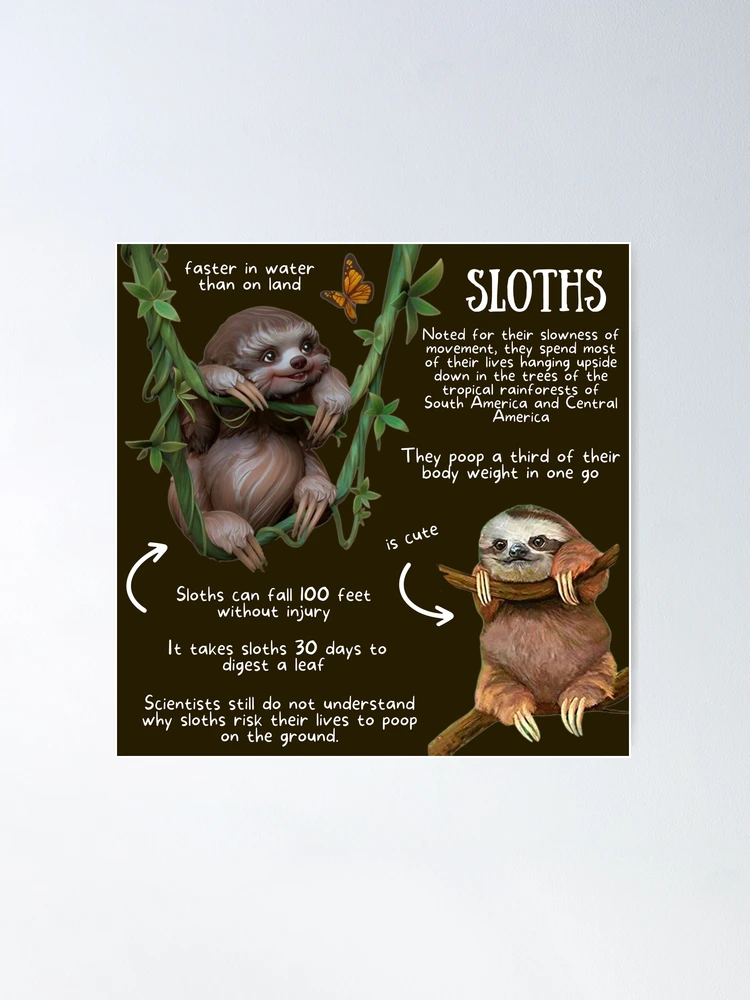 Sloth Go Fishing Tapestry