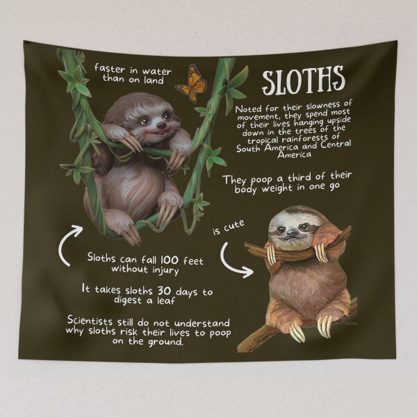 Item preview, Sloth Fun Fact designed and sold by KyleNesas.