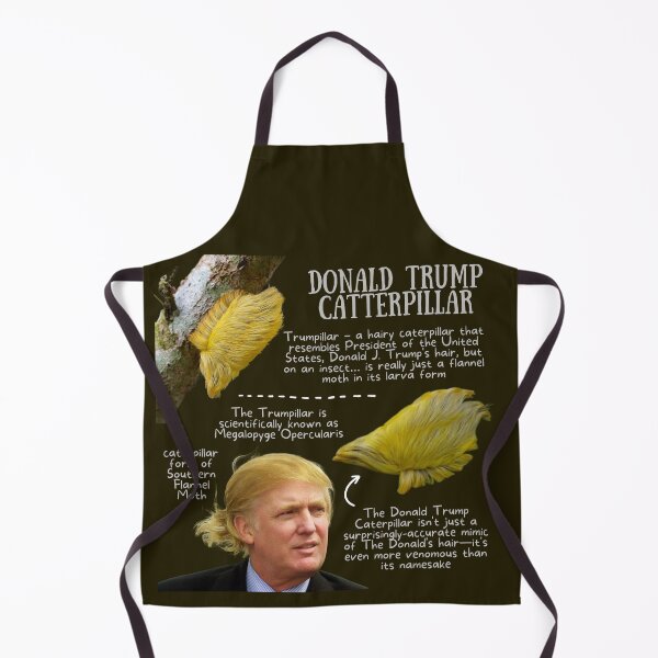 Artikelvorschau, Donald Trump Caterpillar Fun Fact entworfen und verkauft von KyleNesas.