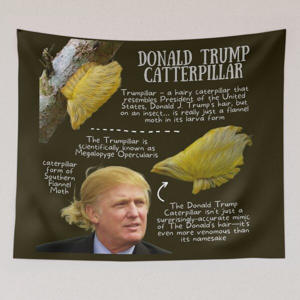 Artikelvorschau, Donald Trump Caterpillar Fun Fact entworfen und verkauft von KyleNesas.