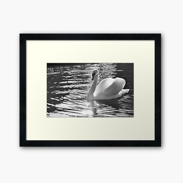 Item preview, Cygne designed and sold by YiannosKamertas.