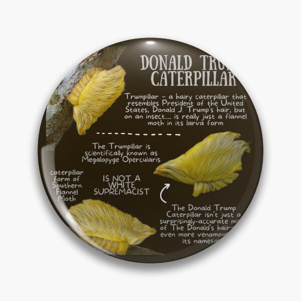 Item preview, Donald Trump Caterpillar - No Picture of trump designed and sold by KyleNesas.