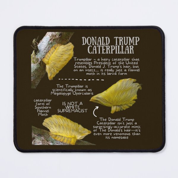 Item preview, Donald Trump Caterpillar - No Picture of trump designed and sold by KyleNesas.