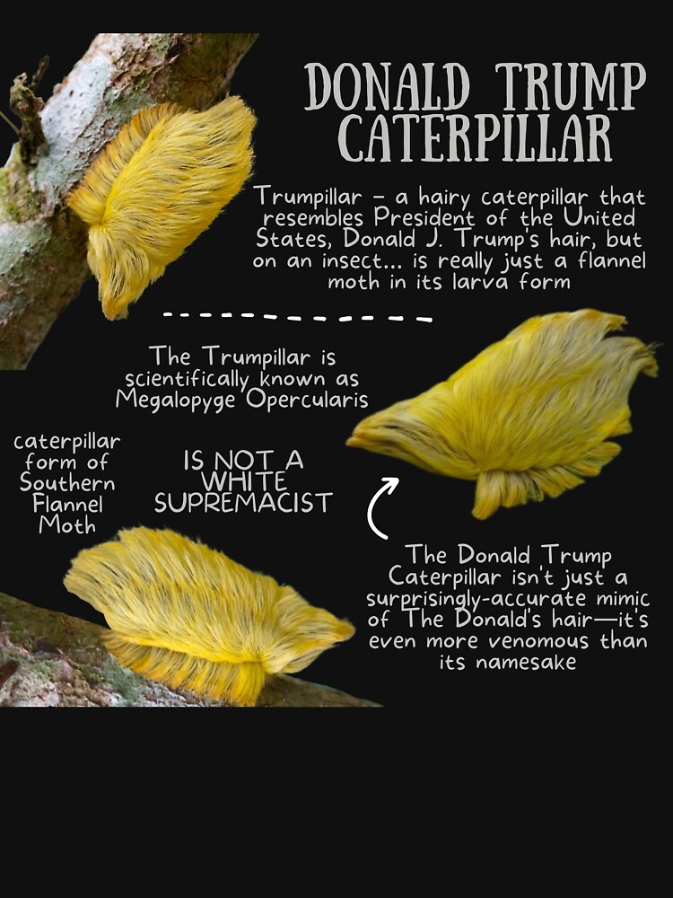 Donald trump toupee clearance caterpillar