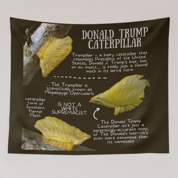 Item preview, Donald Trump Caterpillar - No Picture of trump designed and sold by KyleNesas.