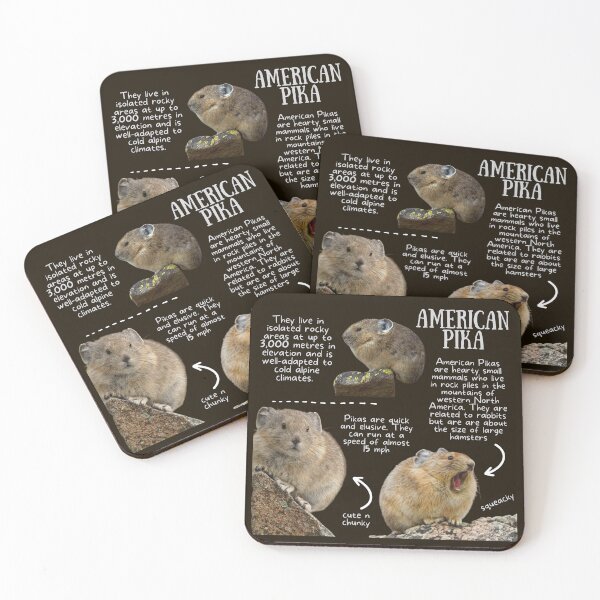 Item preview, American Pika Fun Fact designed and sold by KyleNesas.