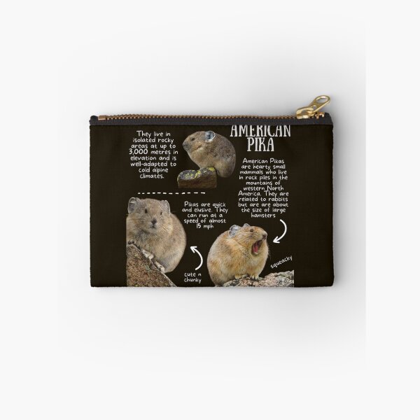 Item preview, American Pika Fun Fact designed and sold by KyleNesas.